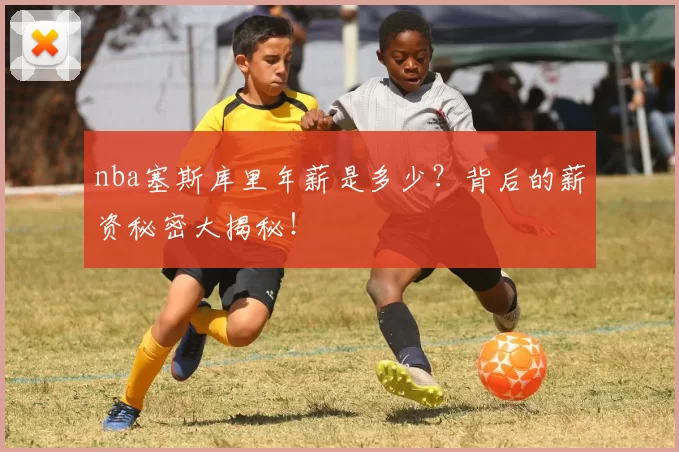nba塞斯库里年薪是多少？背后的薪资秘密大揭秘！